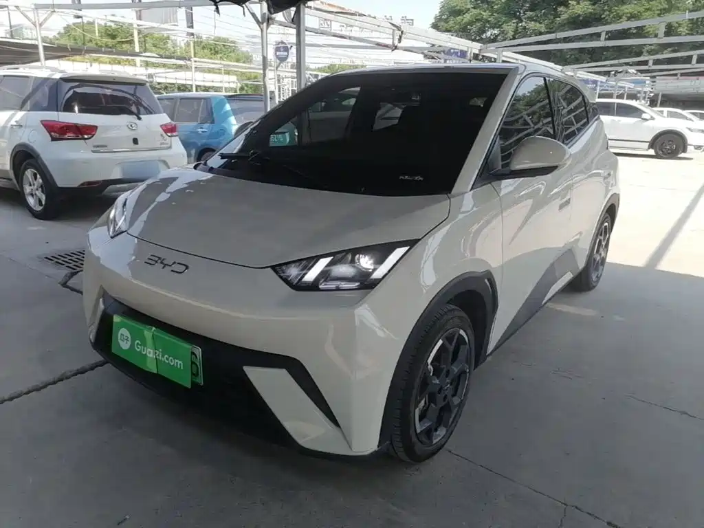 BYD Seagull 2024