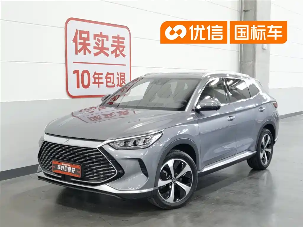 BYD PLUS New Energy 2021