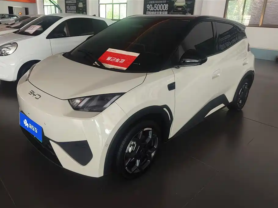 BYD Seagull 2025