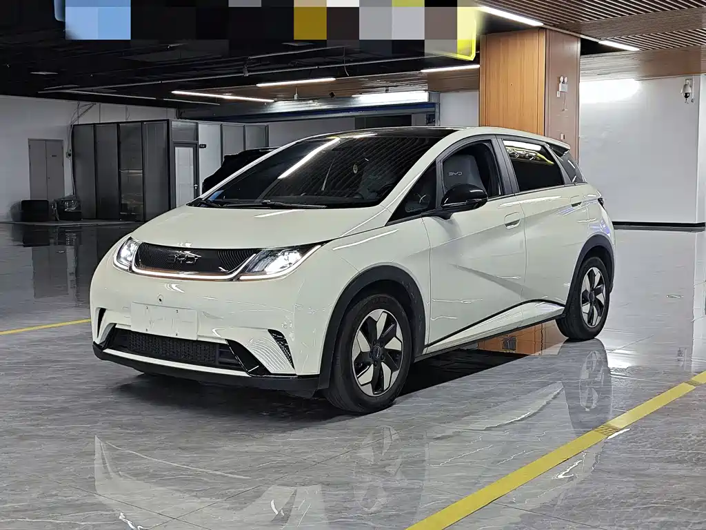BYD Dolphin 2024
