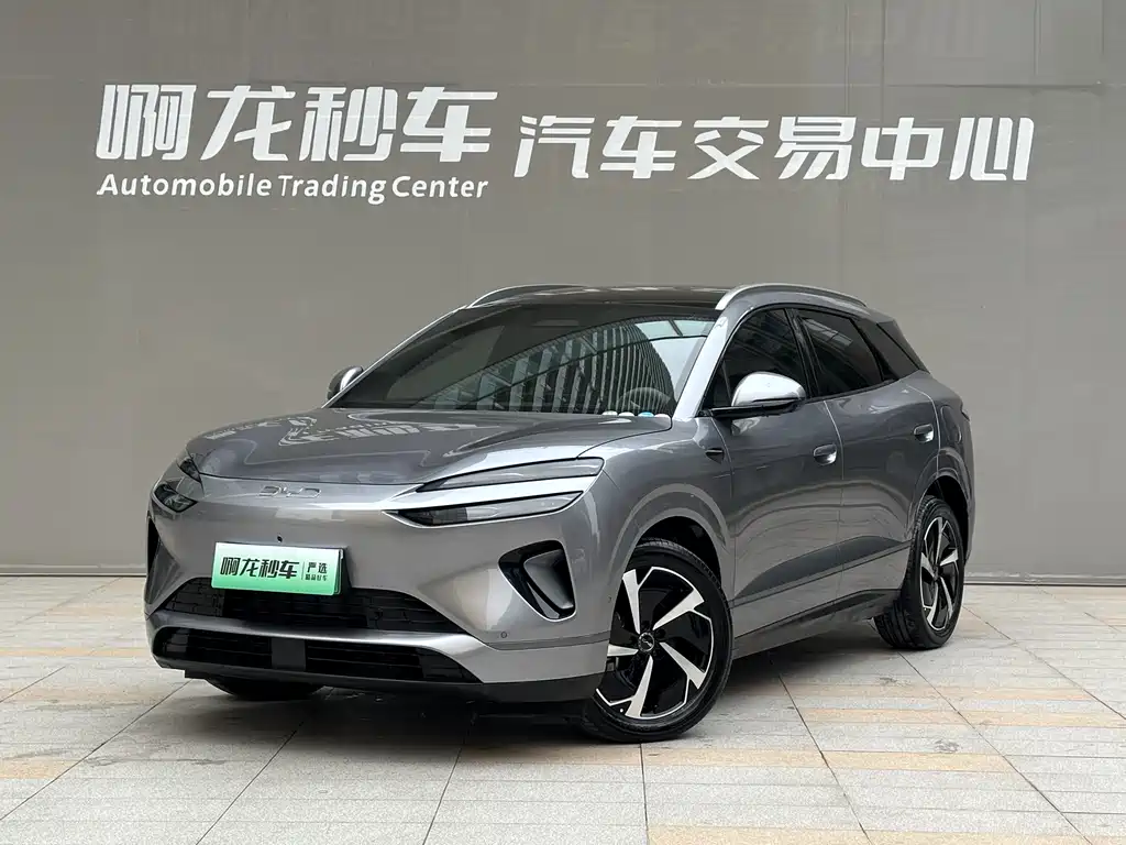 BYD 海狮06 2025