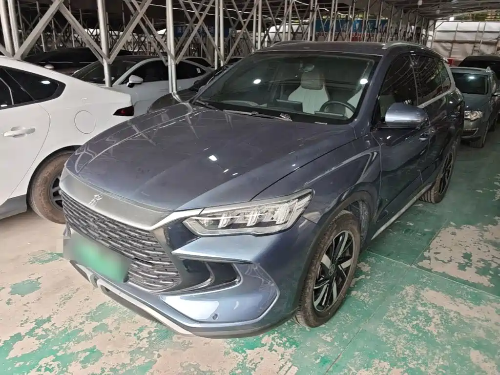 BYD Pro New Energy 2024