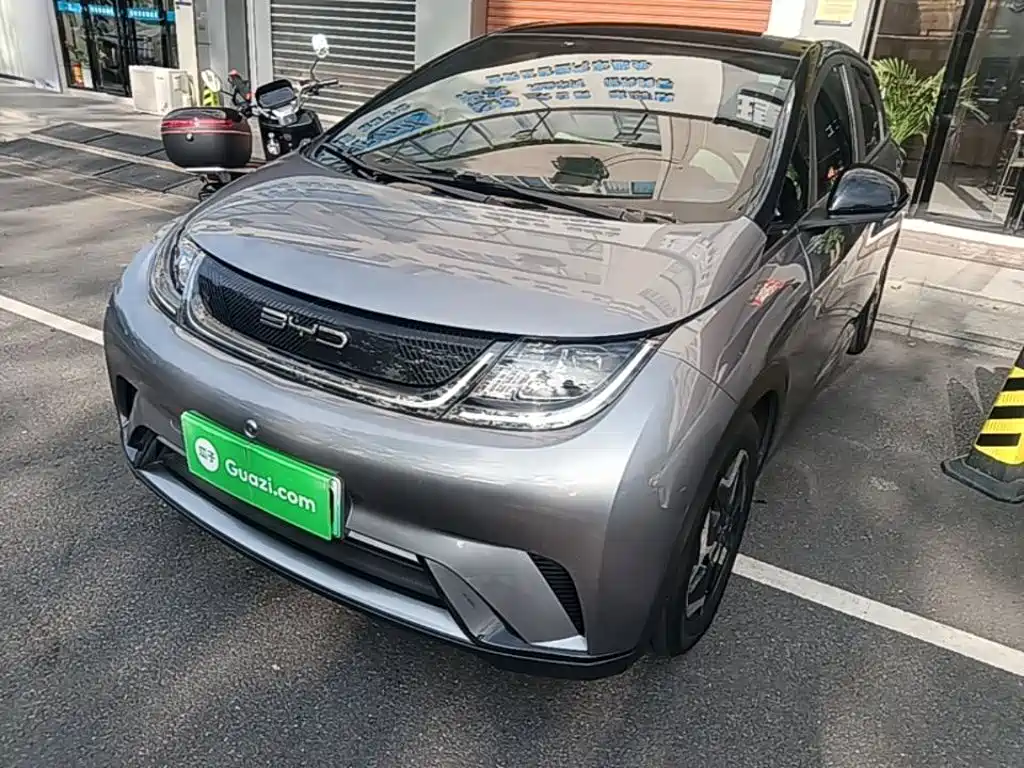 BYD Dolphin 2022