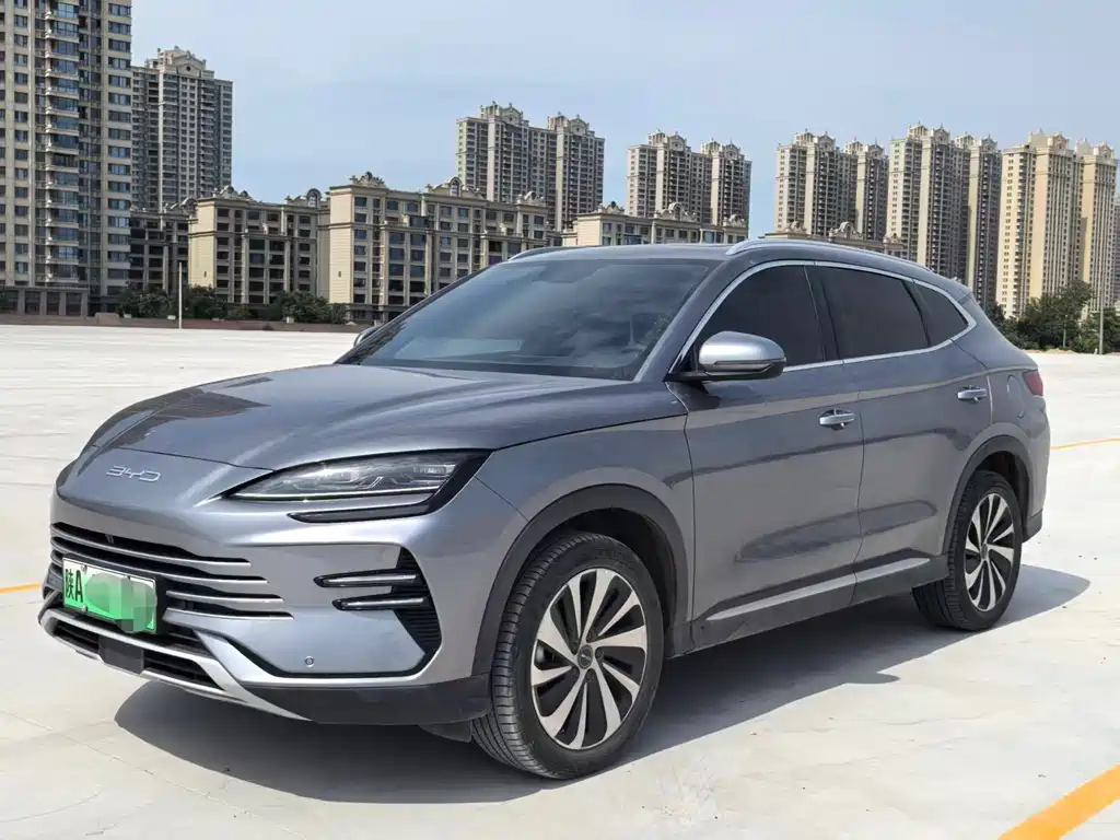 BYD PLUS New Energy 2024