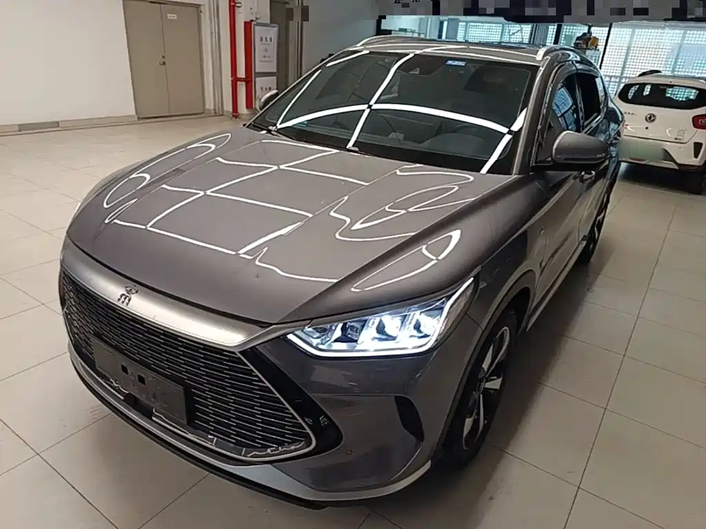 BYD PLUS New Energy 2022