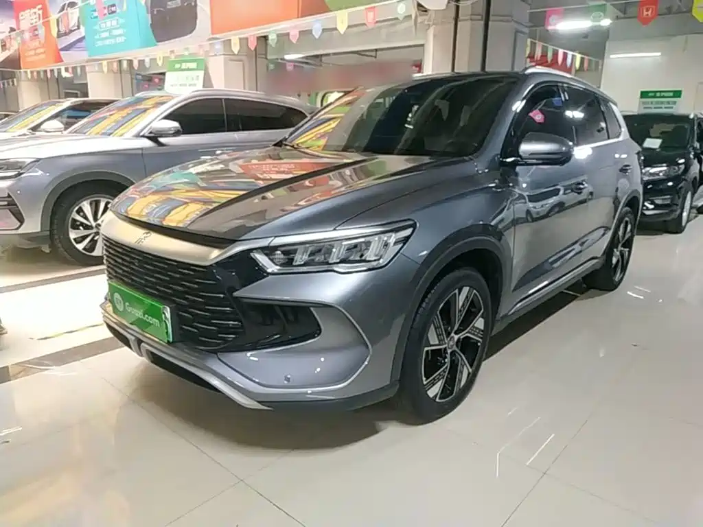 BYD Pro New Energy 2024
