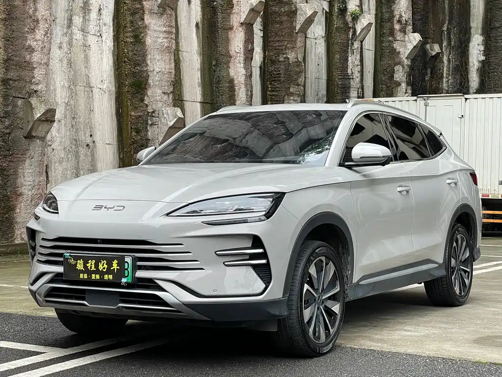 BYD PLUS New Energy 2025