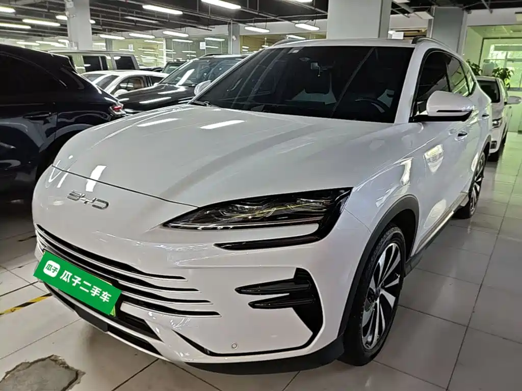 BYD PLUS New Energy 2023