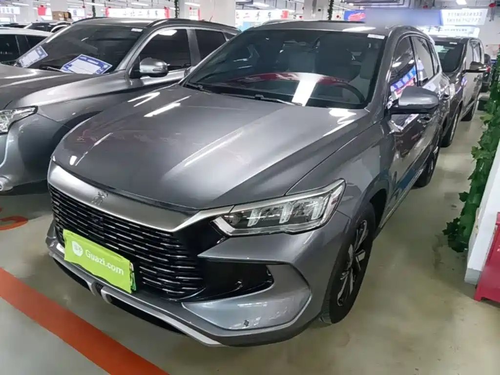 BYD Pro New Energy 2024