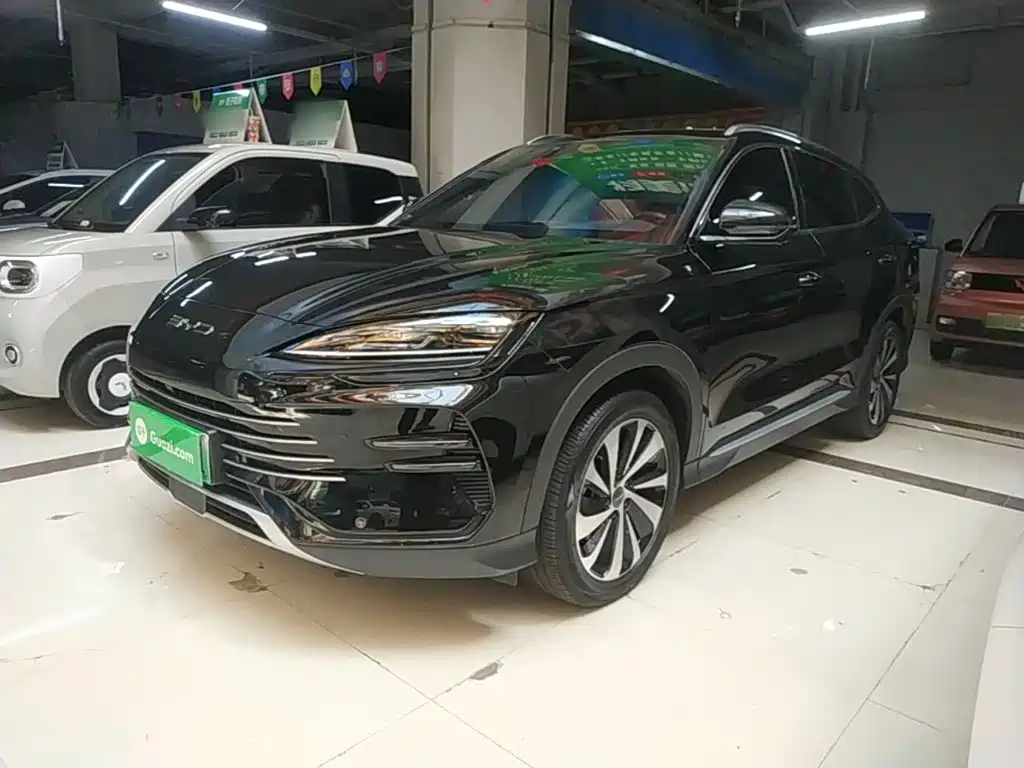 BYD PLUS New Energy 2023