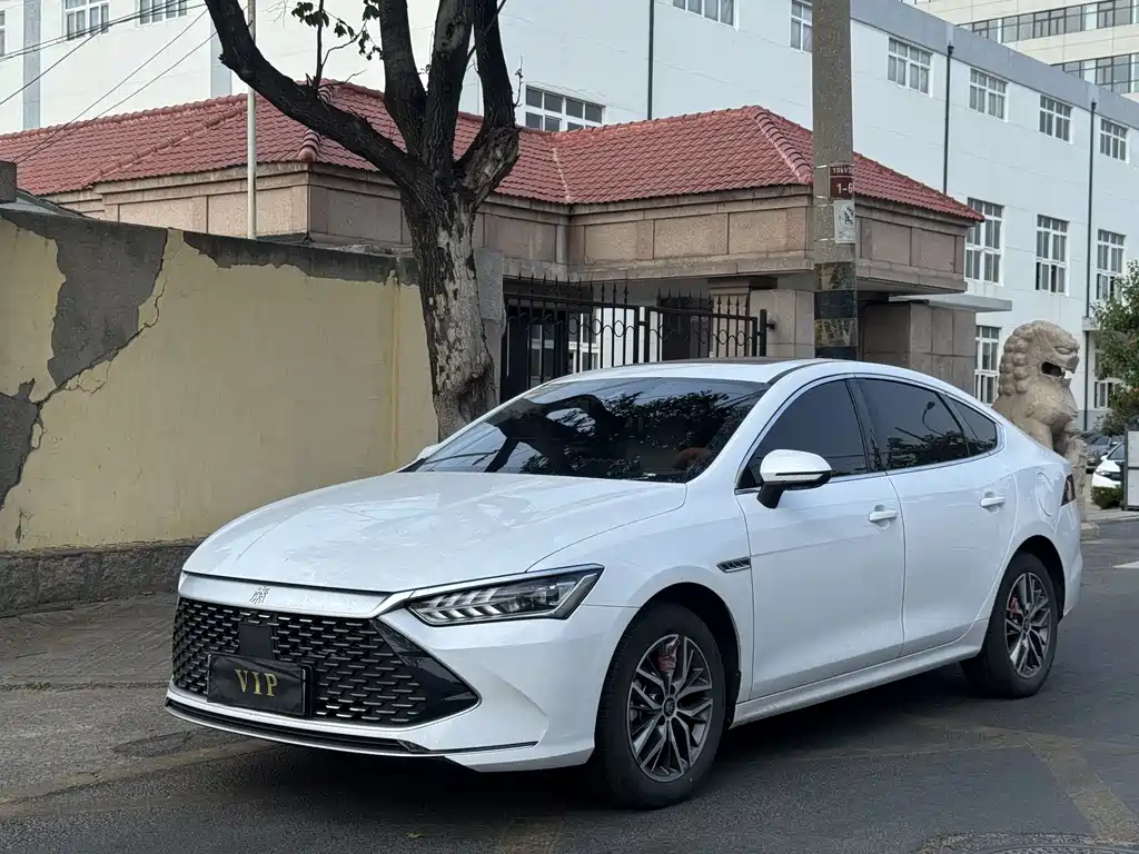 BYD Qin PLUS 2024