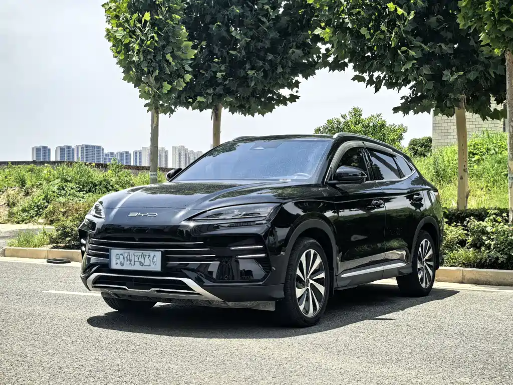 BYD PLUS New Energy 2024