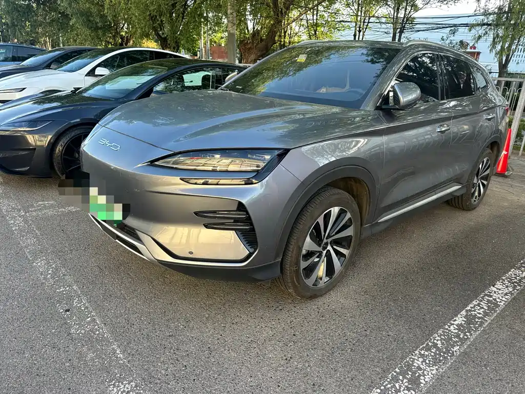 BYD PLUS New Energy 2024