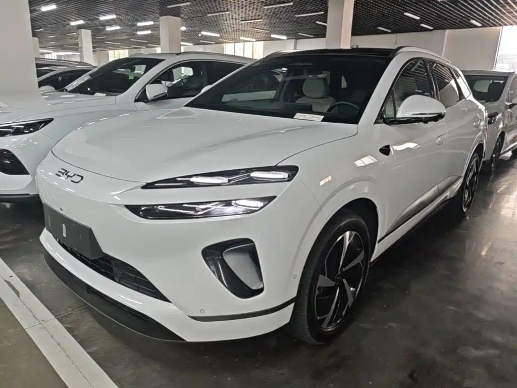 BYD 海狮06 2025