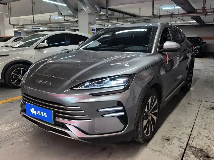 BYD PLUS New Energy 2024