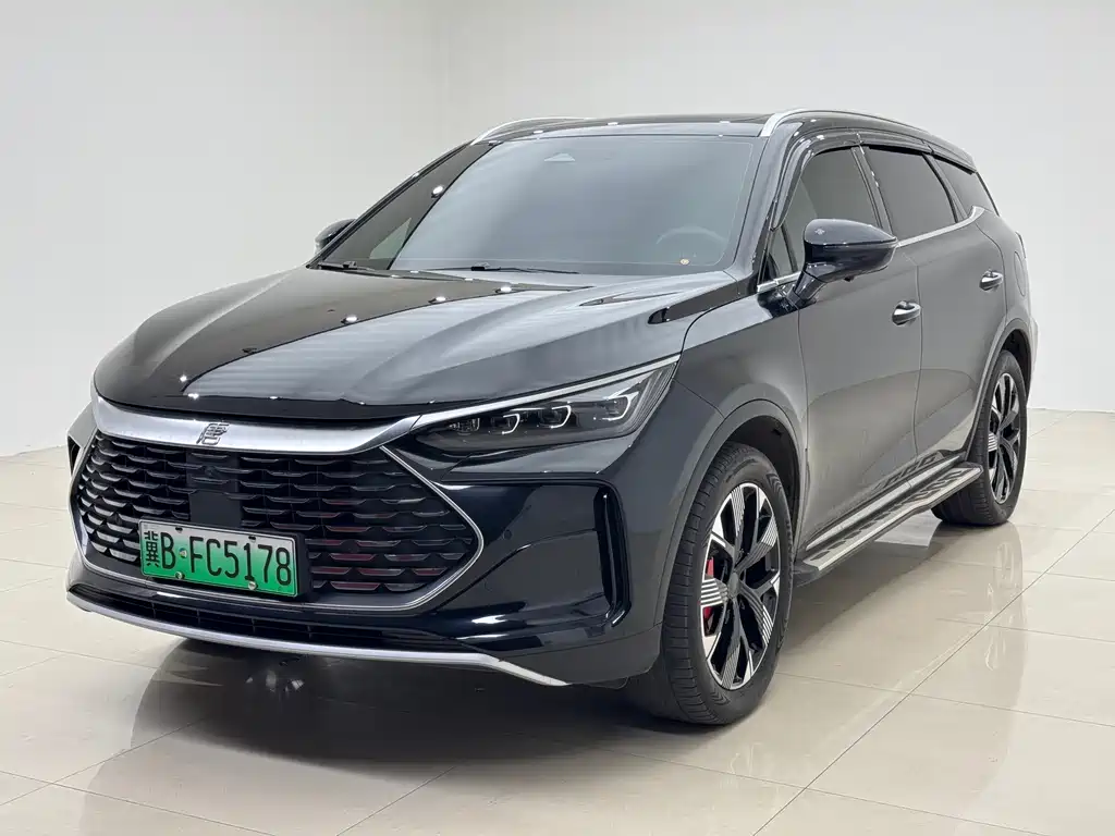 BYD Tang New Energy 2024