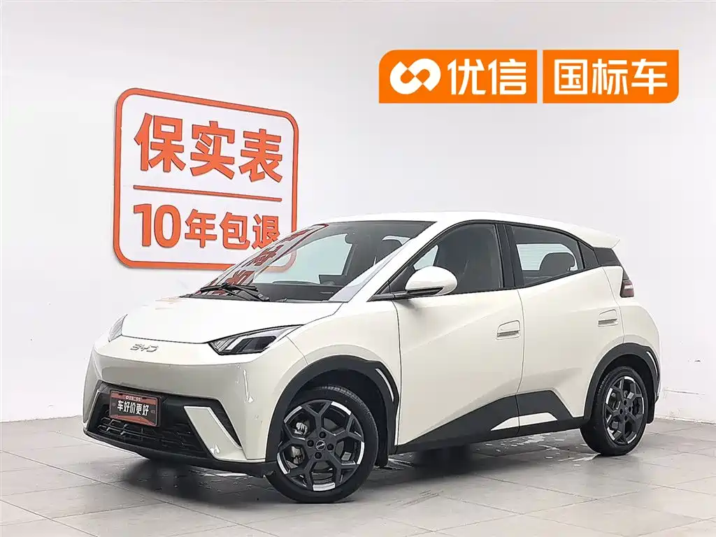 BYD Seagull 2024