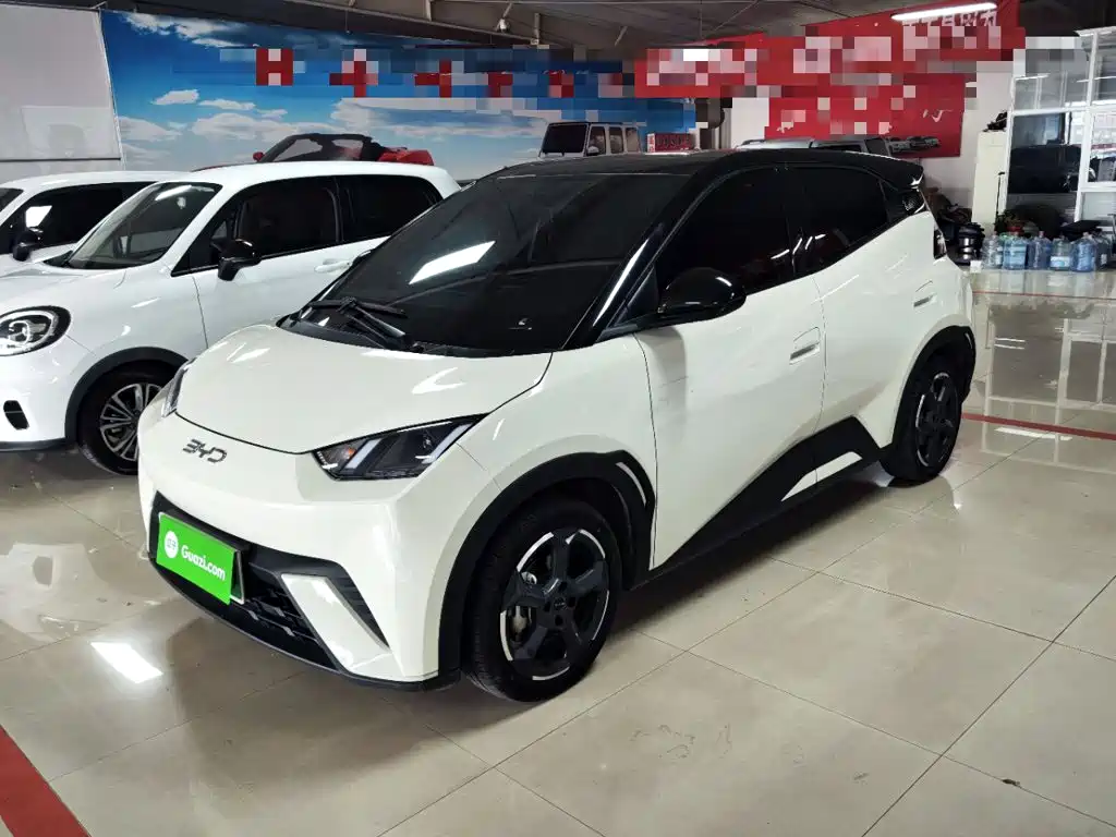 BYD Seagull 2024