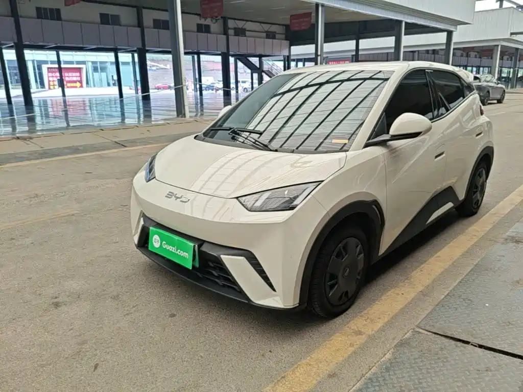 BYD Seagull 2024