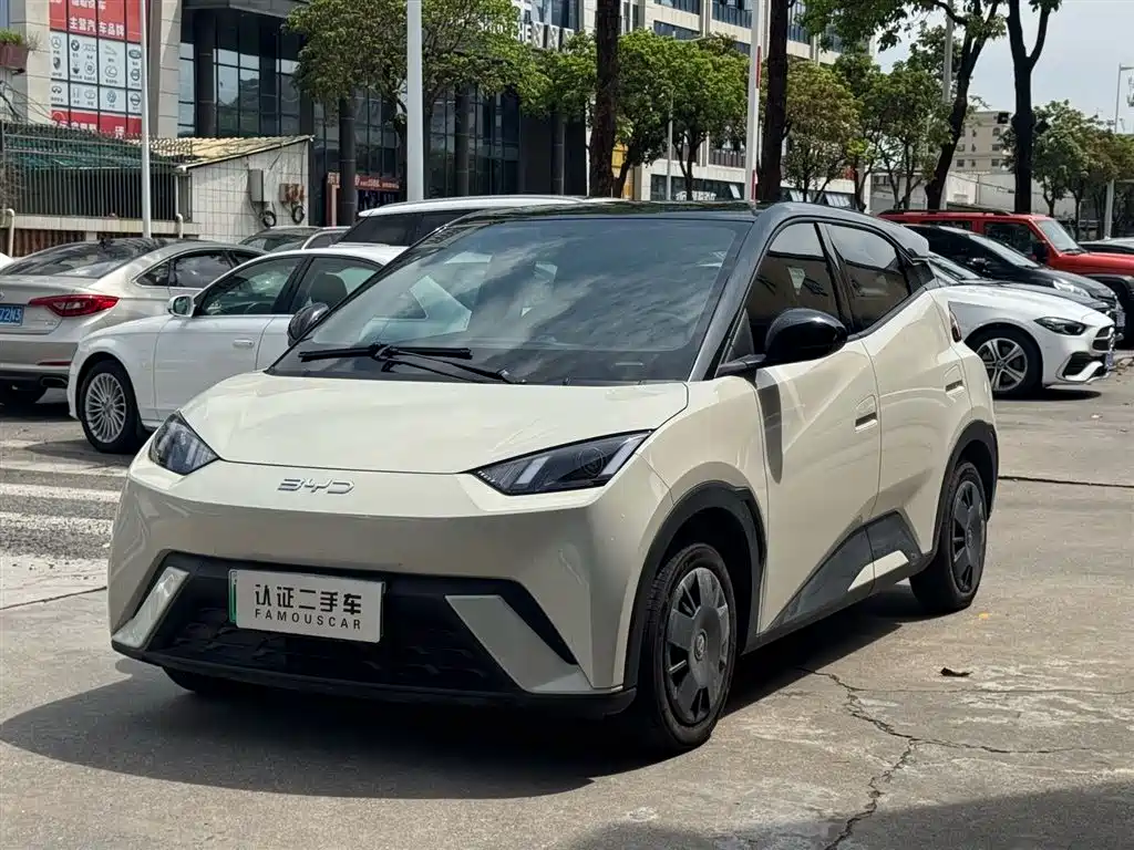 BYD Seagull 2024
