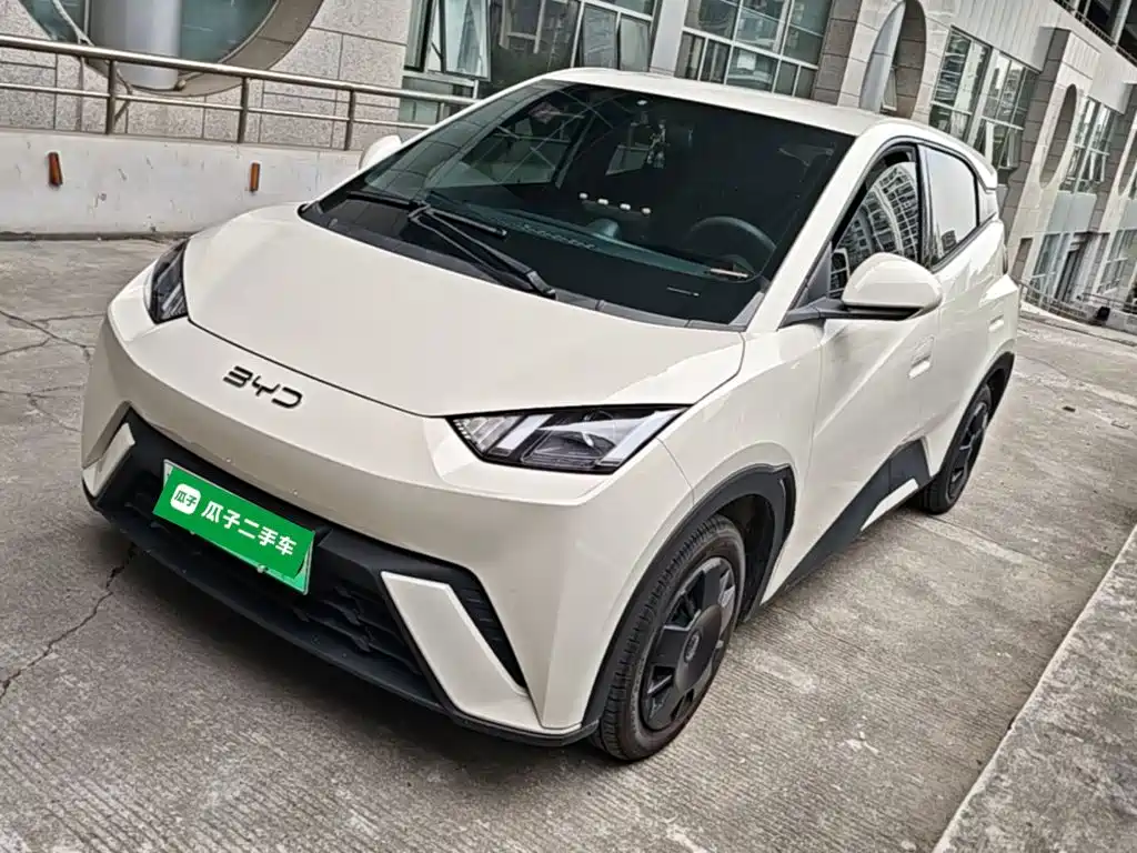 BYD Seagull 2024