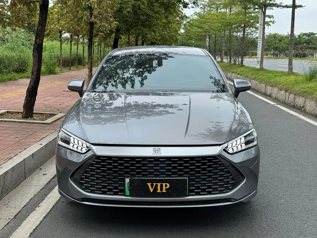 BYD Qin PLUS 2024