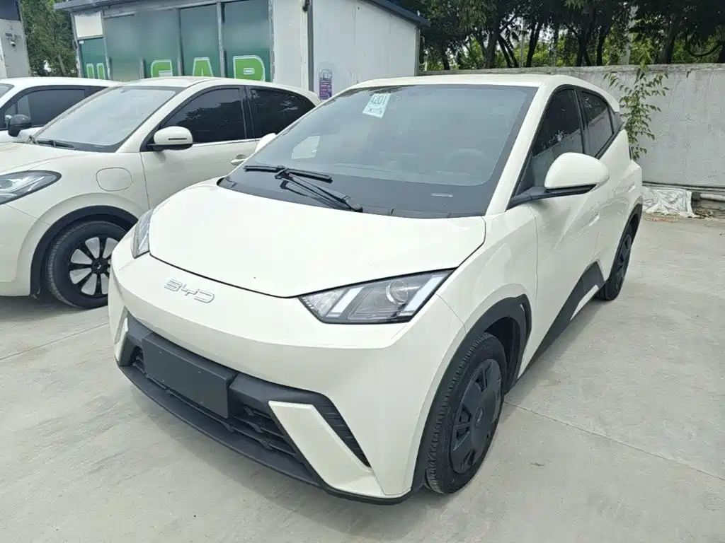 BYD Seagull 2024