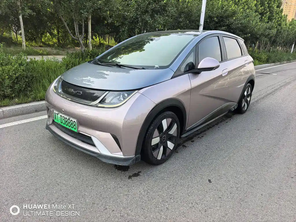 BYD Dolphin 2022