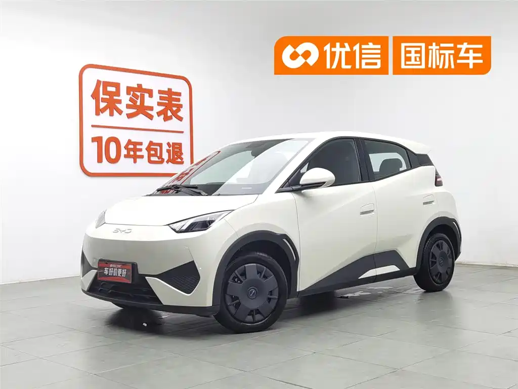 BYD Seagull 2025