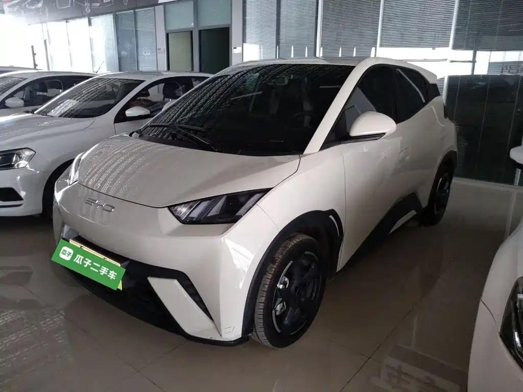 BYD Seagull 2024