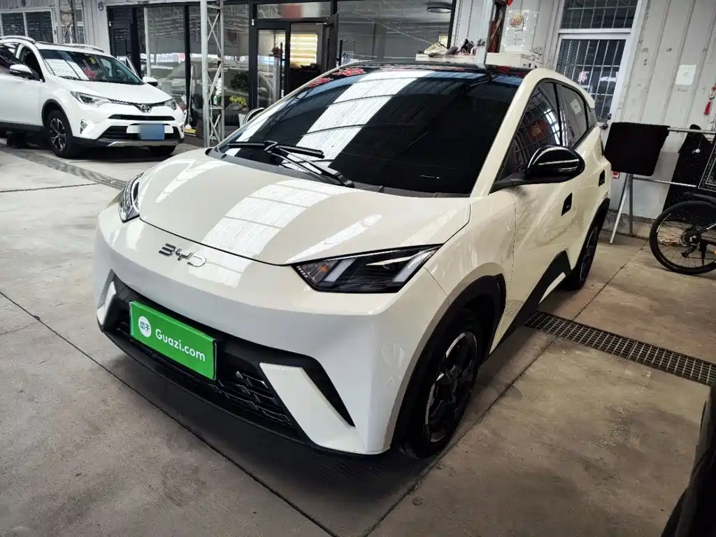 BYD Seagull 2024
