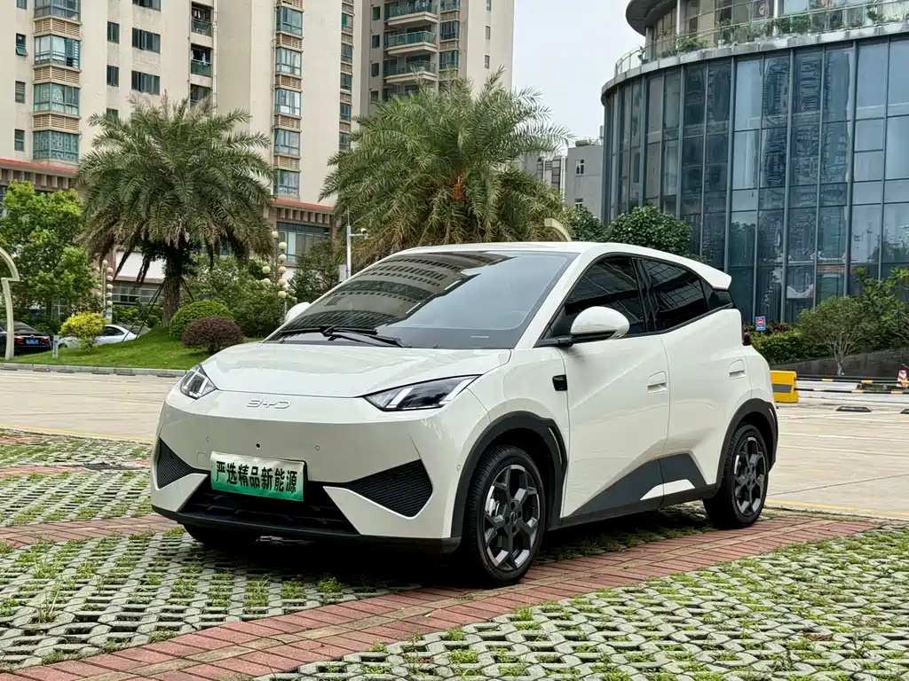 BYD Seagull 2025