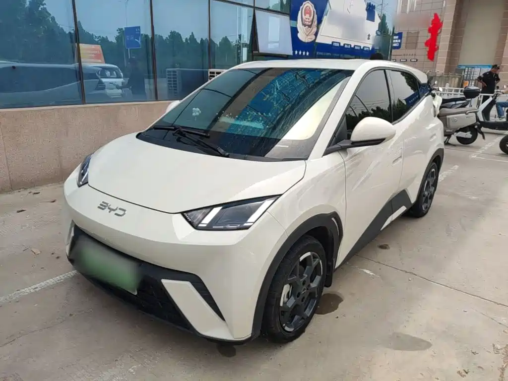BYD Seagull 2024