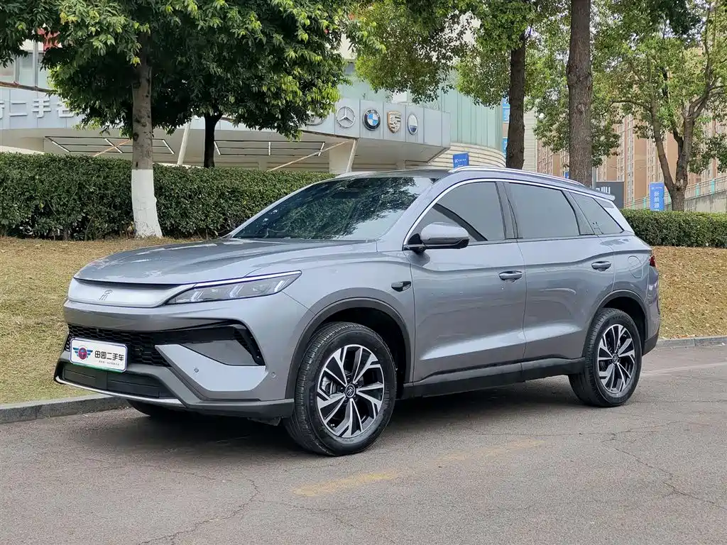 BYD Pro New Energy 2025