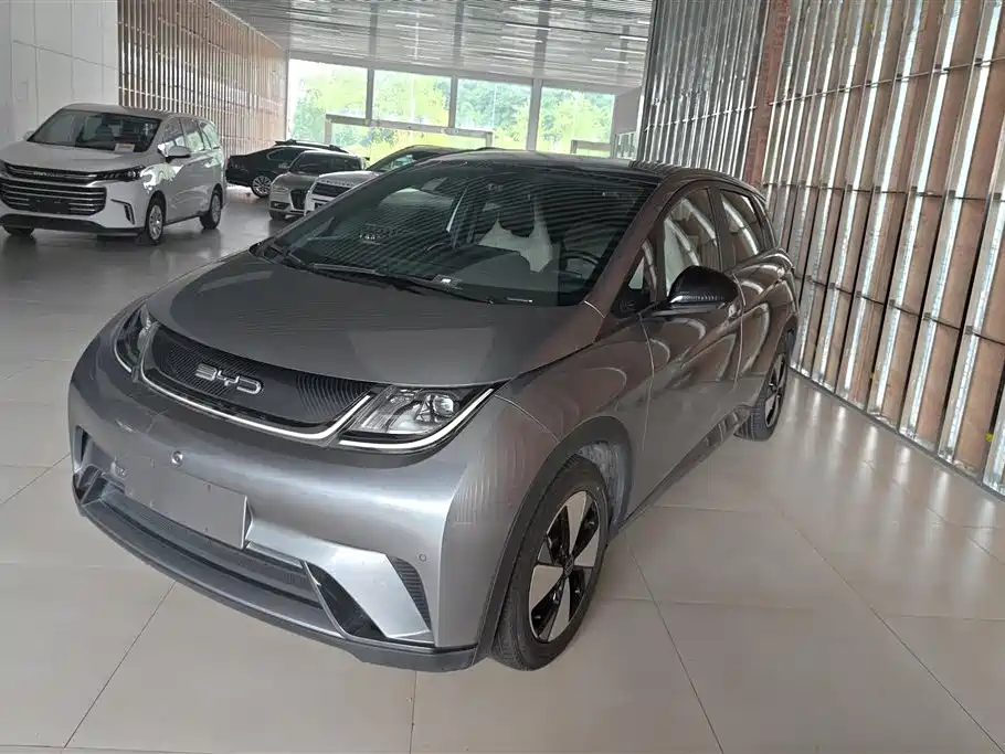 BYD Dolphin 2024