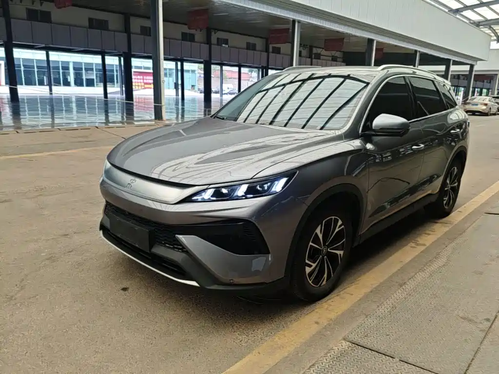BYD Pro New Energy 2025