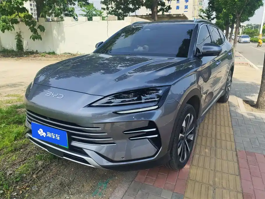 BYD PLUS New Energy 2025