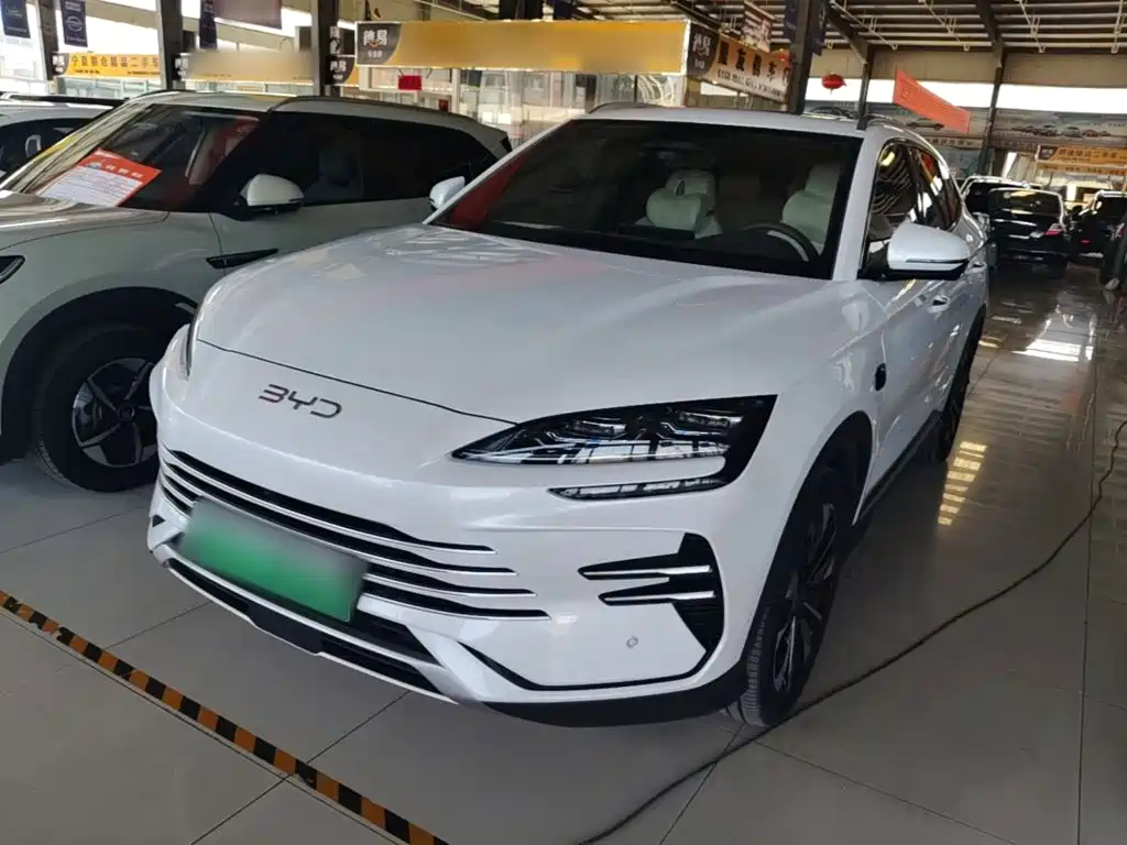 BYD PLUS New Energy 2025
