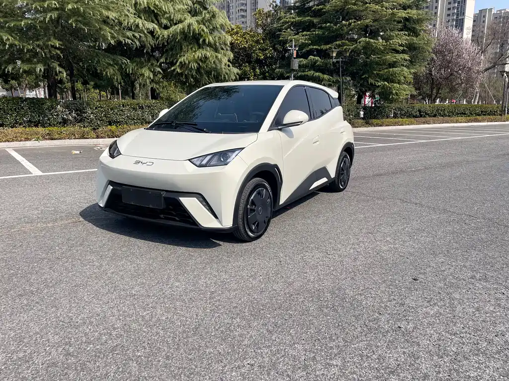 BYD Seagull 2025