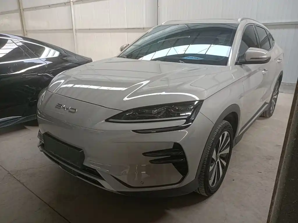 BYD PLUS New Energy 2024