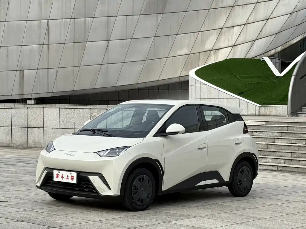 BYD Seagull 2024