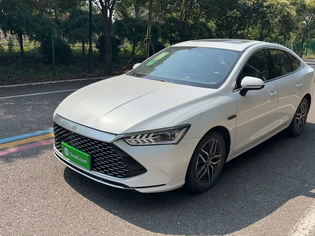 BYD Qin PLUS 2021