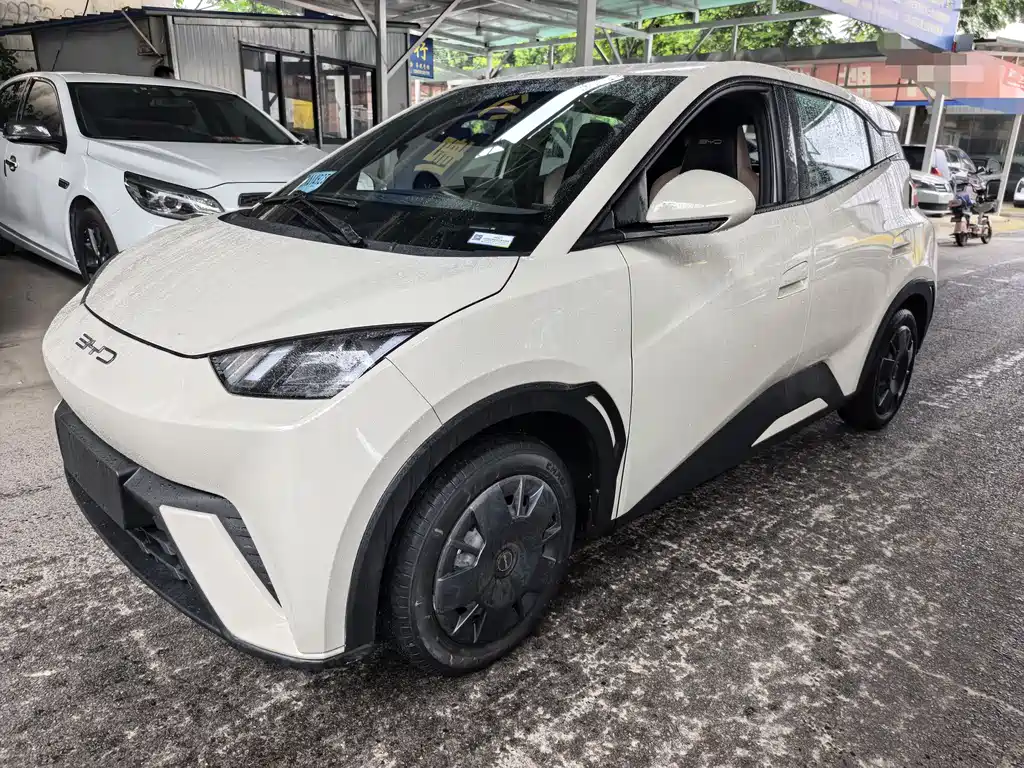 BYD Seagull 2024
