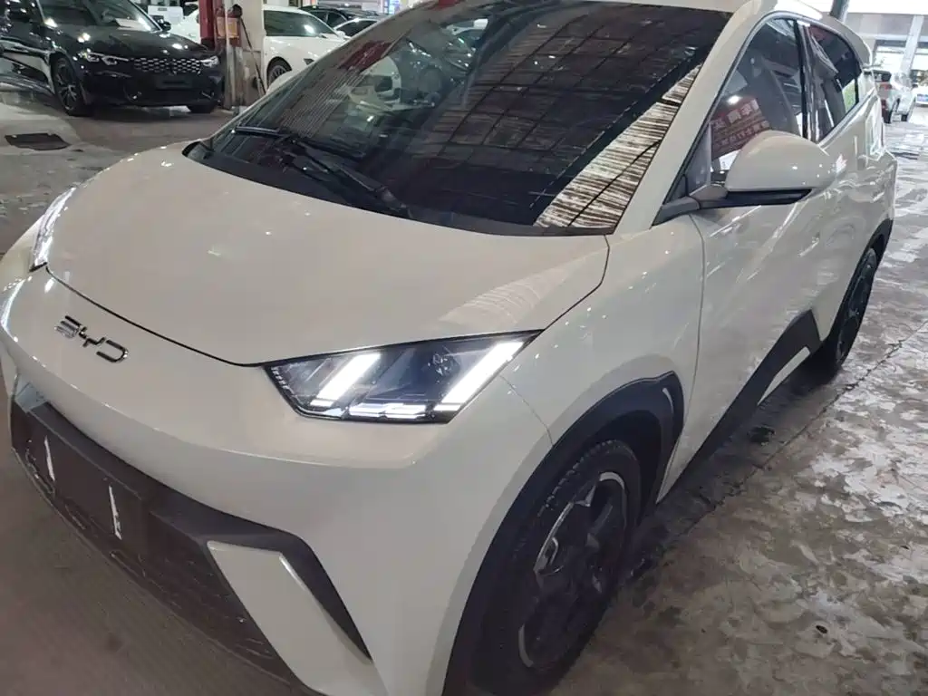 BYD Seagull 2024