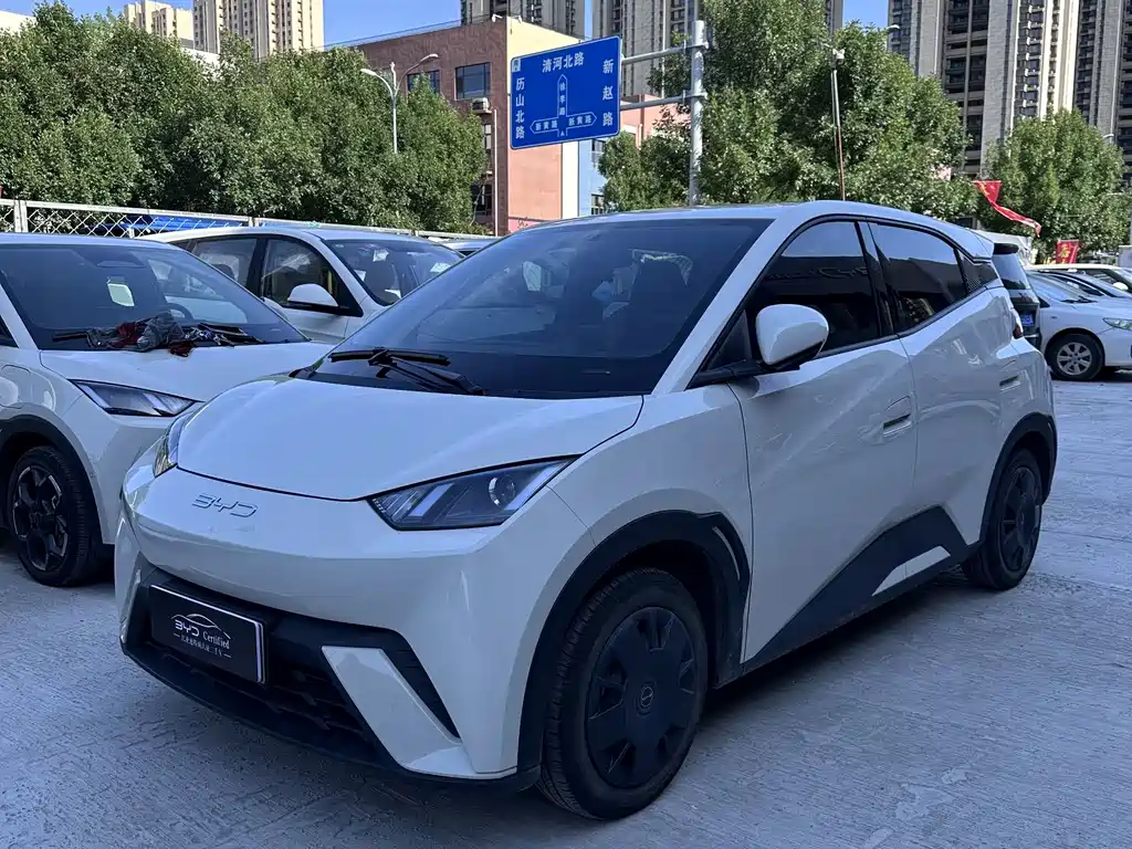 BYD Seagull 2024