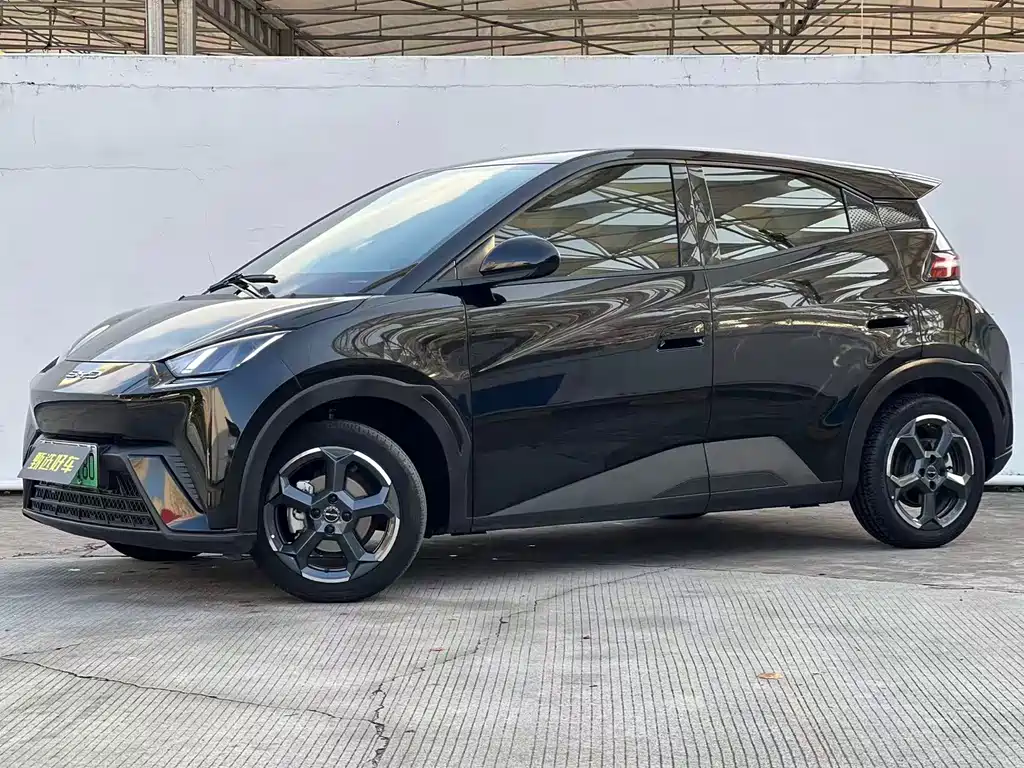 BYD Seagull 2024