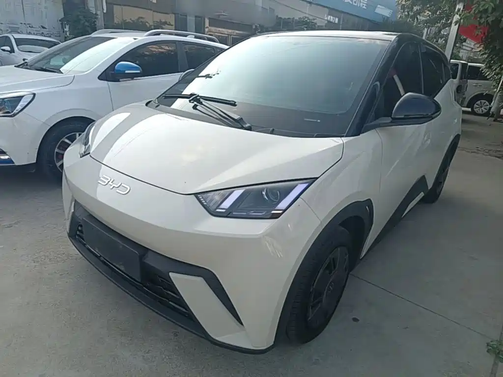 BYD Seagull 2024