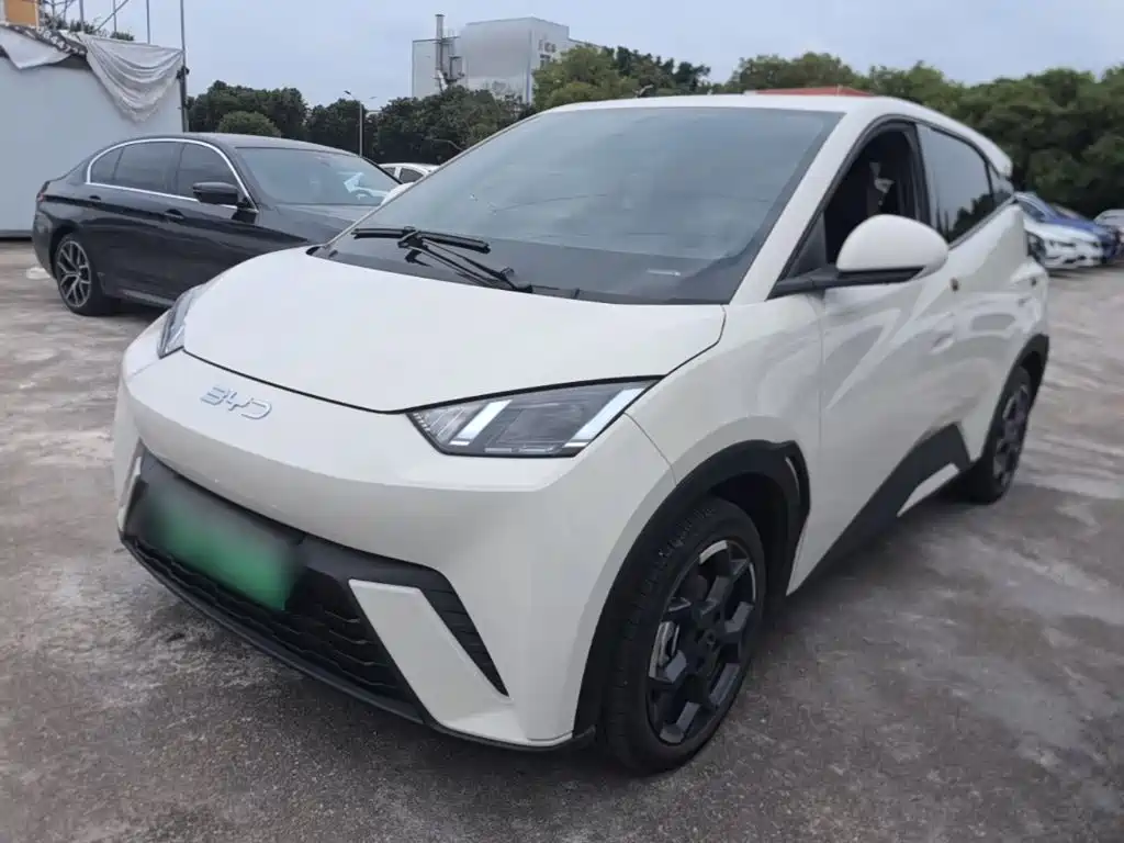 BYD Seagull 2024