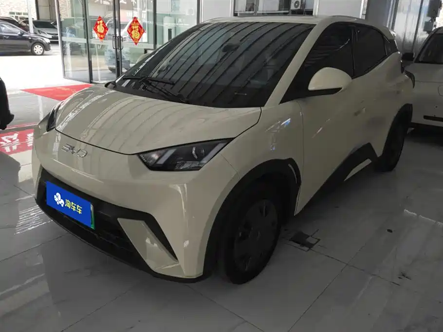 BYD Seagull 2024