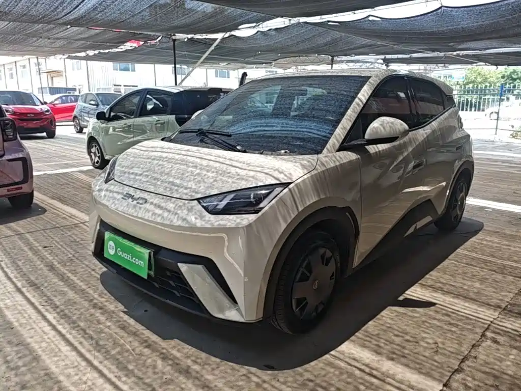 BYD Seagull 2024